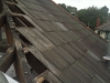 photo0388